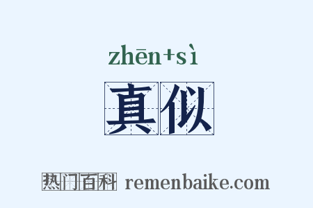 真似是什么意思的图片